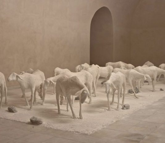 Giuseppe Agnello – Memorie: Vedute laterali ed oblique