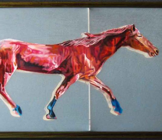 Jankovic Liubisa-Janko – CAVALLI PENSIEROSI e PASSI DAL MARE