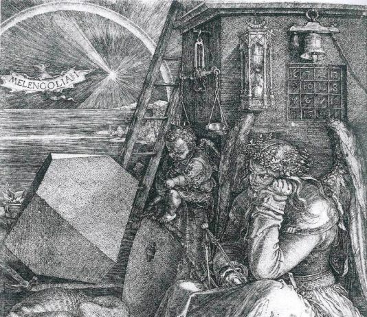 Dürer. L’opera incisa dalla collezione di Novara
