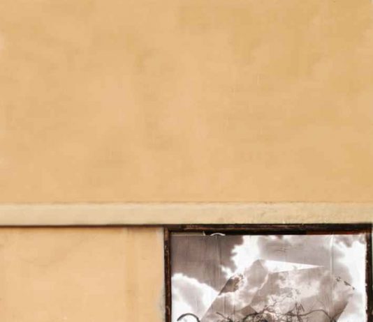 Emanuela Duranti – In-Apparenze: tra Visioni e Percezioni