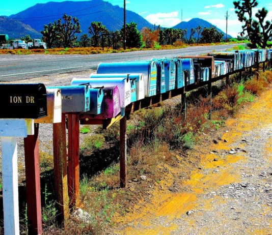 Marco Biscardi – Non curismo