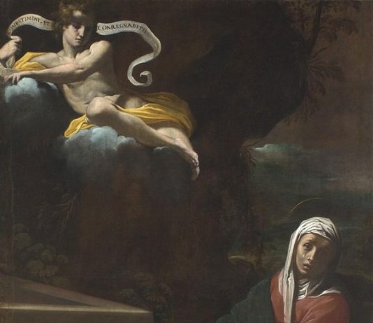 Immagine e persuasione. Capolavori del Seicento dalle chiese di Ferrara Immagine e persuasione. Capolavori del Seicento dalle chiese di Ferrara