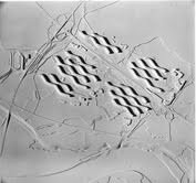 Alvar Aalto – 1966-1968