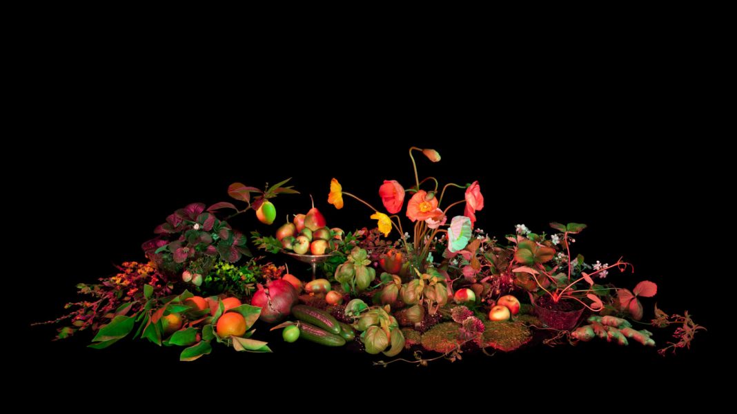 Amelia Bauer – This Landhttps://www.exibart.com/repository/media/eventi/2013/09/amelia-bauer-8211-this-land-1068x601.jpg