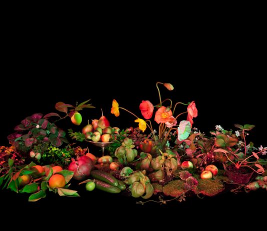 Amelia Bauer – This Land Amelia Bauer – This Land