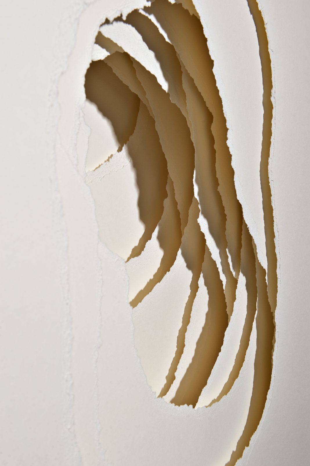 Angela Glajcar – Terforationhttps://www.exibart.com/repository/media/eventi/2013/09/angela-glajcar-8211-terforation-1068x1602.jpg