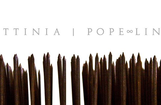 Attinia –  POPE∞LINE