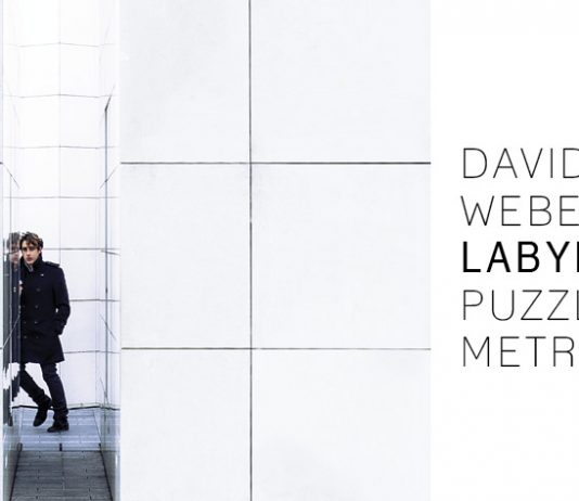 Davide Weber – Labyrinth: puzzle metropolis