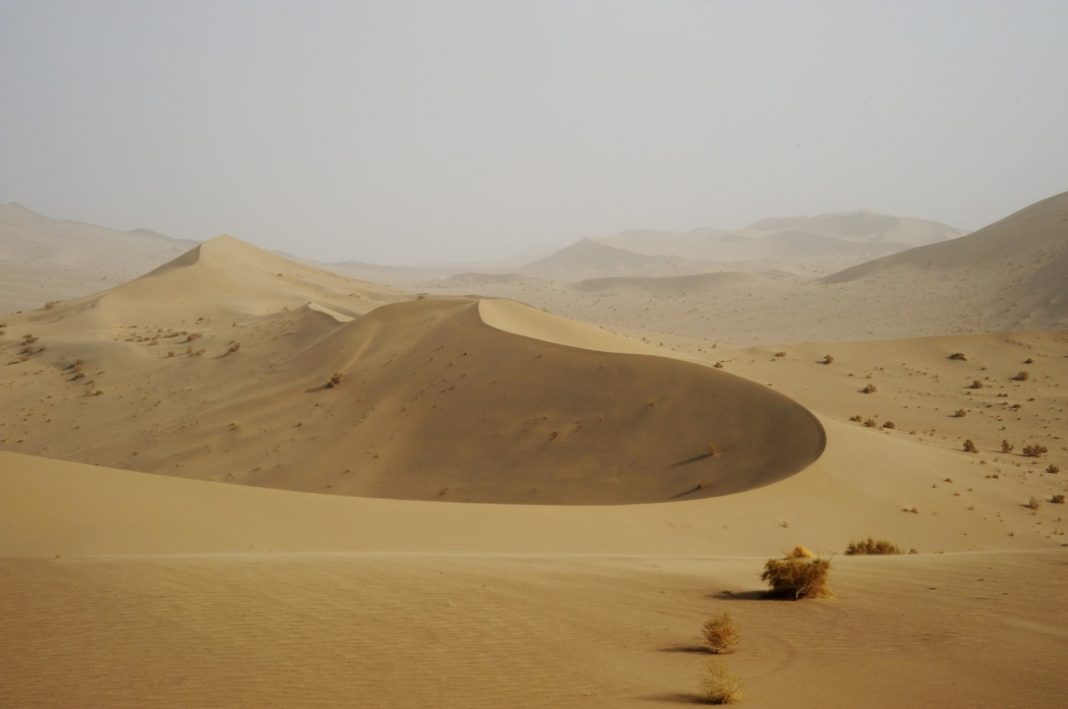 Dominique Laugé – Le désert et mon jardinhttps://www.exibart.com/repository/media/eventi/2013/09/dominique-laugé-8211-le-désert-et-mon-jardin-1068x709.jpg