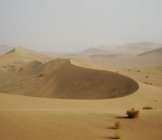 Dominique Laugé – Le désert et mon jardin