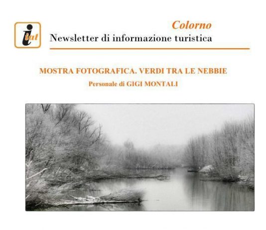 Gigi Montali – Verdi tra le nebbie