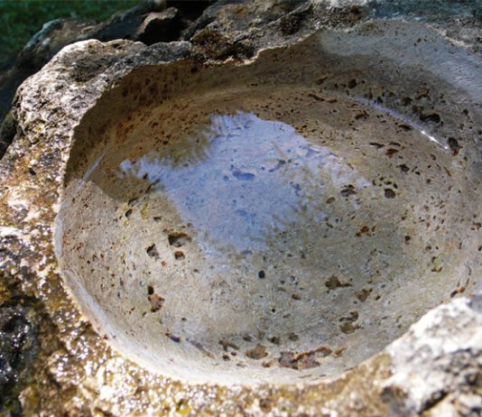 Silvia Stucky – La forma dell’acqua Silvia Stucky – La forma dell’acqua