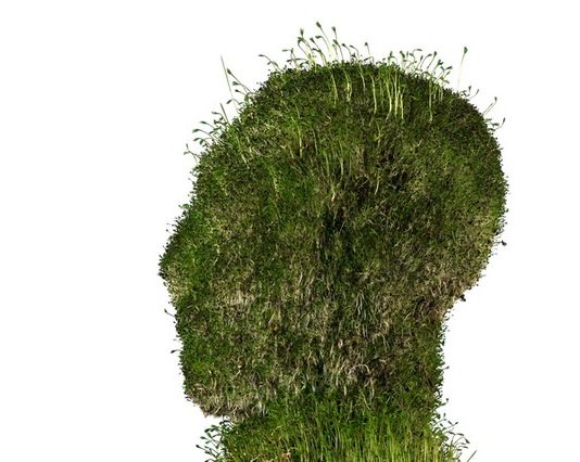 VALENTINO CARRAI/LUCA MAUCERI –
Fytanthropos