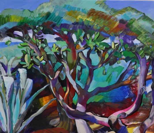 Claudio Malacarne – Giardini d’acqua