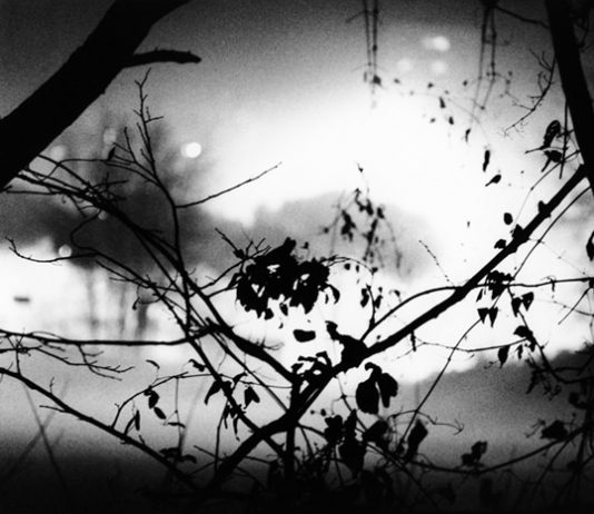 Francesca Romana Guarnaschelli – Promessa Terra