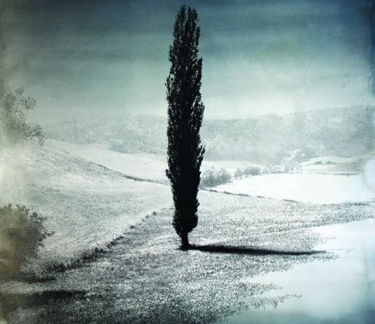 Giorgia Beltrami – Il pensiero naturale