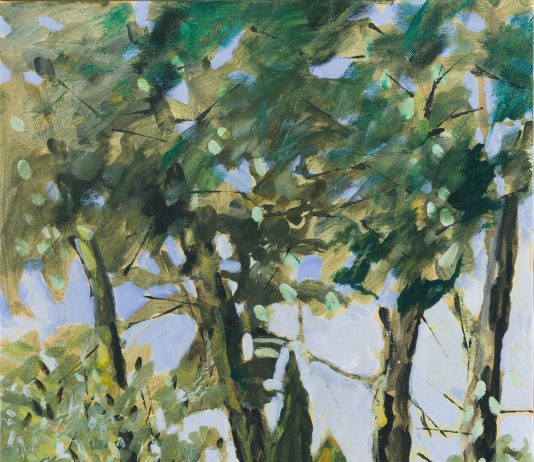 Luisa Scalpelli – Le visioni possibili