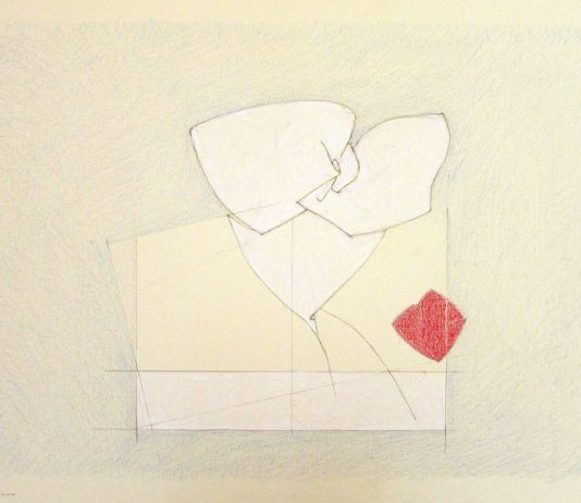 Maurizio Casari – Le acrobazie della geometria