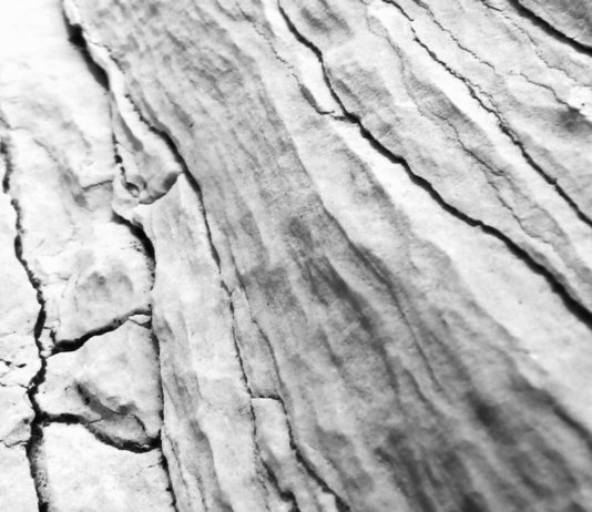 Nicole Voltan – PARA KLÀSIS Profilo dinamico interno. Galleria Cinica