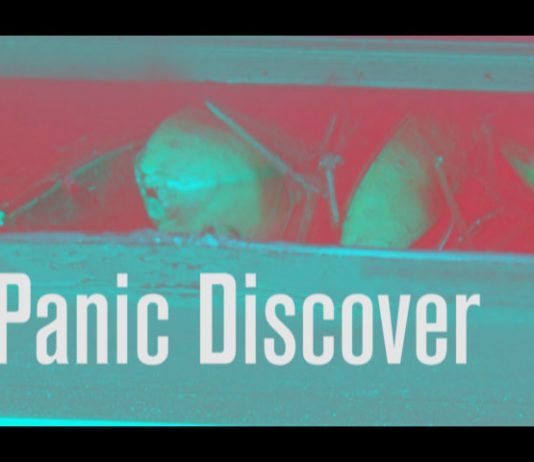 Panic Discover