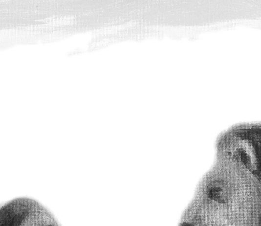 Paolo Maggi – Pet stories