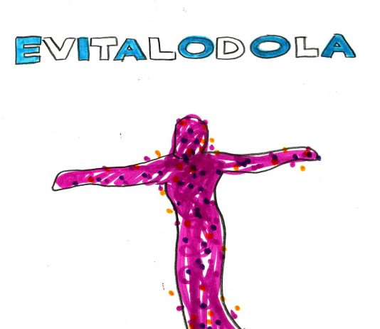 Red Dragone +  catalogo EvitaLodola