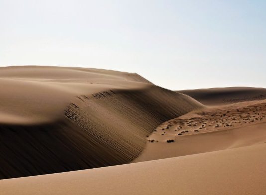 Renato Pasmanik – Un Regard Silencieux