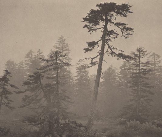 Takeshi Shikama – Timeless