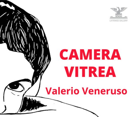 Valerio Veneruso – Camera Vitrea