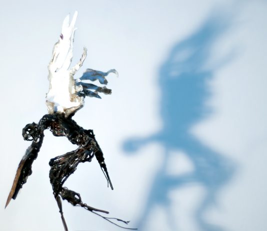 Andrea Princivalli – Di Fuoco in Fiamme