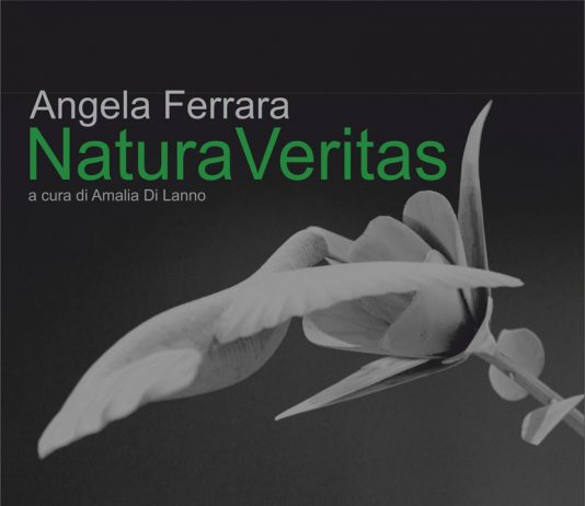 Angela Ferrara – NaturaVeritas