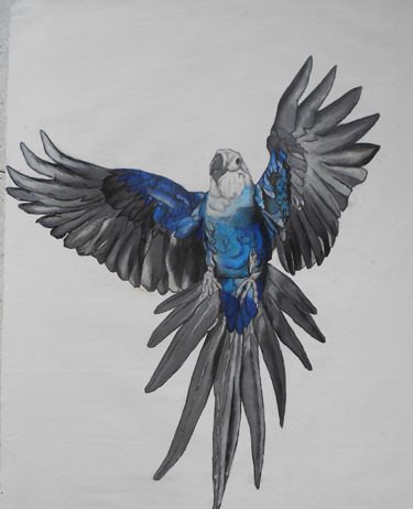 Boris Di Rocco – Bestiario in transito