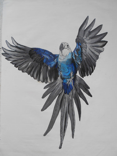 Boris Di Rocco – Bestiario in transitohttps://www.exibart.com/repository/media/eventi/2013/11/boris-di-rocco-8211-bestiario-in-transito.jpg