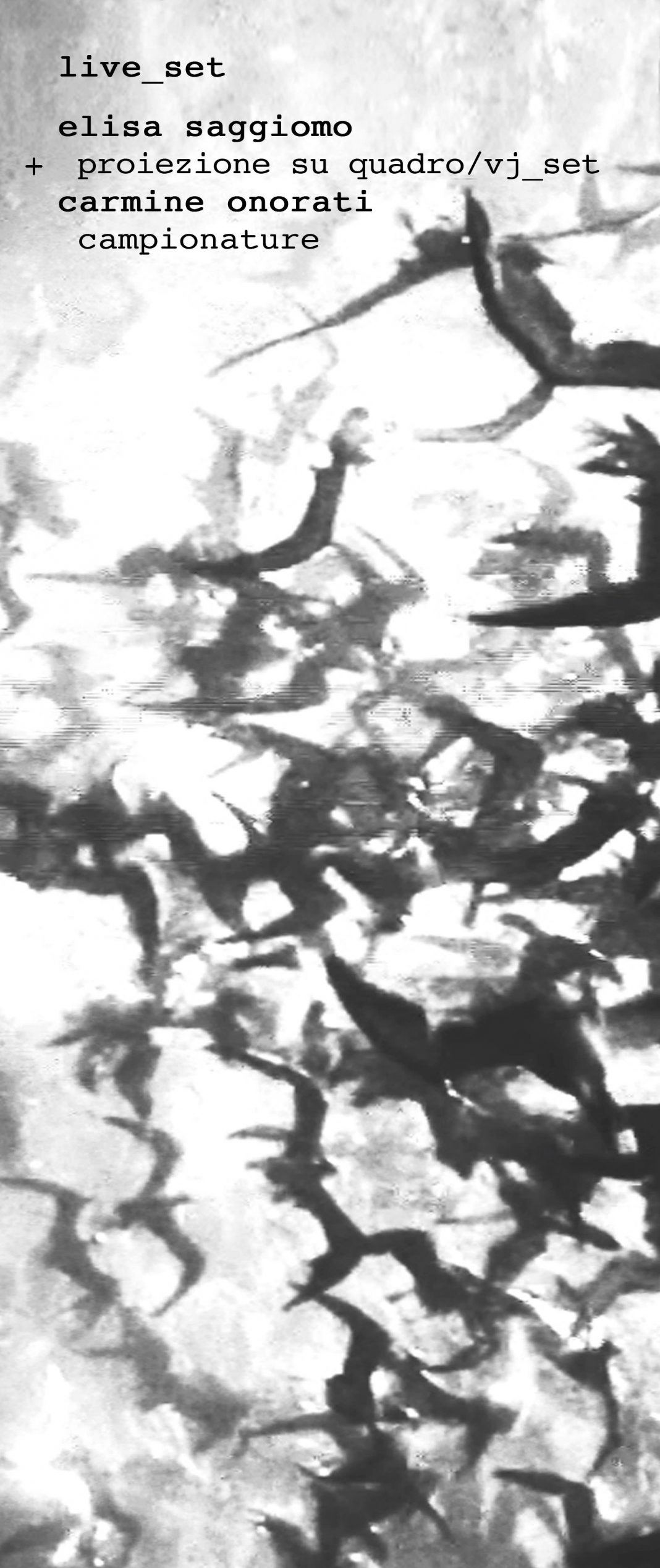 Elisa Saggiomo / Carmine Onorati – UCCELLIhttps://www.exibart.com/repository/media/eventi/2013/11/elisa-saggiomo-carmine-onorati-8211-uccelli-1068x2535.jpg