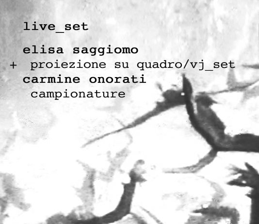 Elisa Saggiomo / Carmine Onorati – UCCELLI