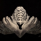 Elisabetta Losi – Dualità coerenti