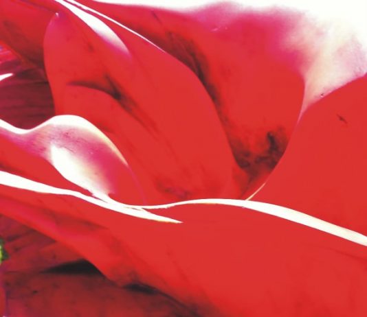 Federico Fusi – Altolocato. Lo spazio, la luce, il colore, la profondità