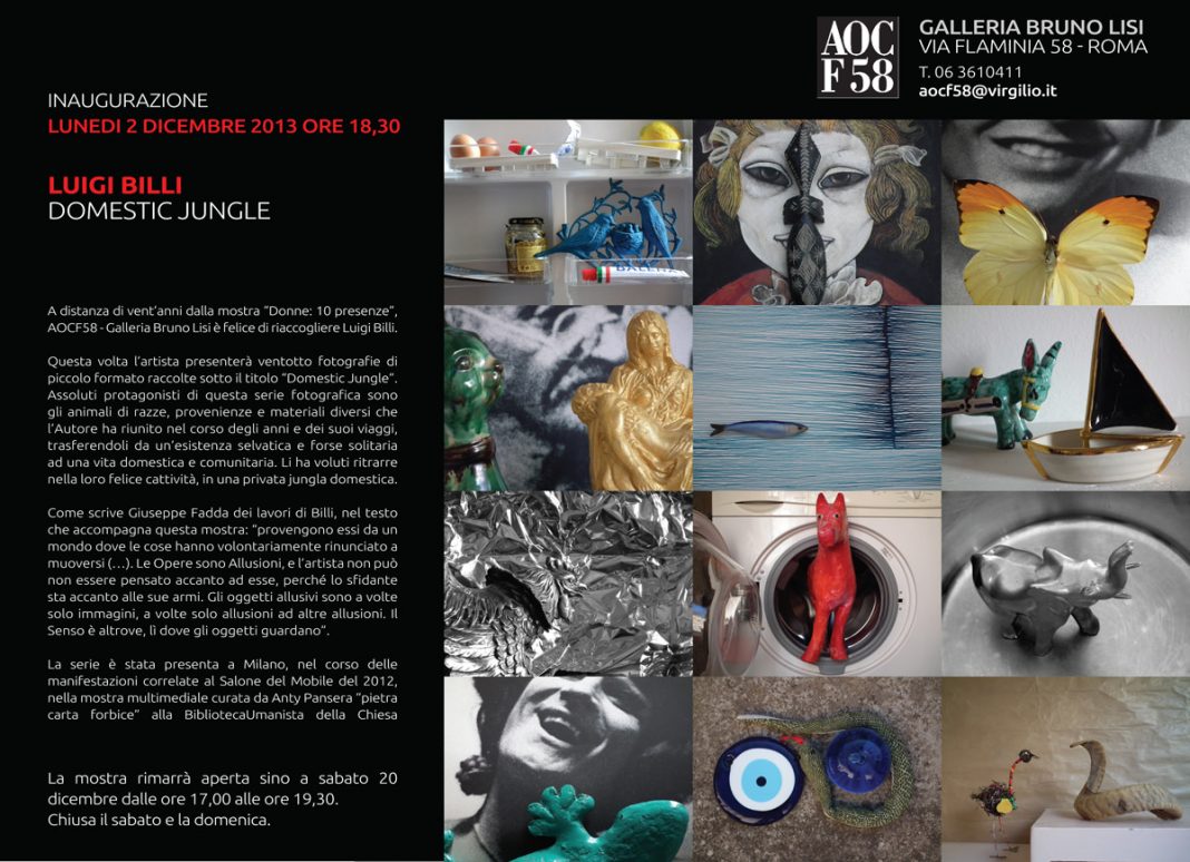 Luigi Billi – Domestic Junglehttps://www.exibart.com/repository/media/eventi/2013/11/luigi-billi-8211-domestic-jungle-1068x774.jpg