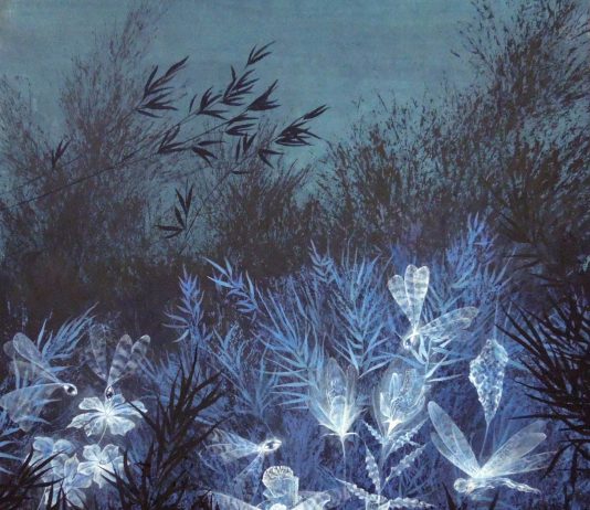 Paolo Polli- Loro. Sotto il velo del mondo