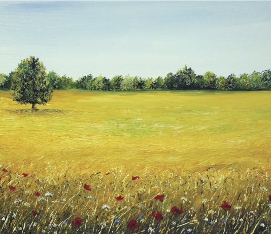 Silvia Martignago – Paesaggi