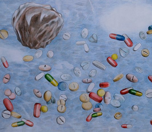 Viparelli Animazioni