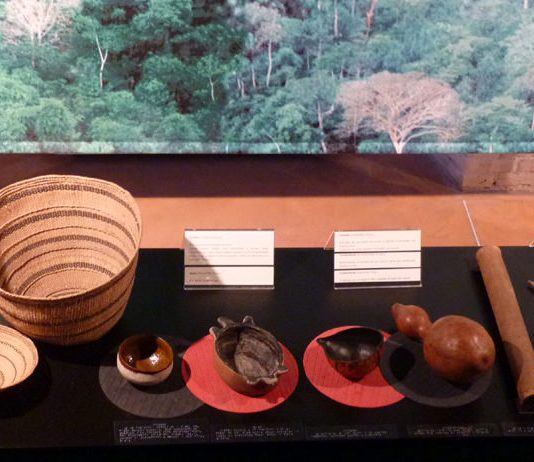 Ambiente e spiritualità: l’esperienza delle popolazioni native americane