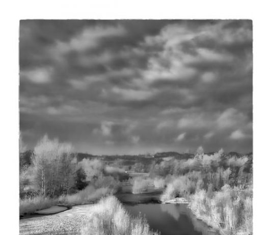 Davide D’Angelo – Tanaro, il fiume dei vini