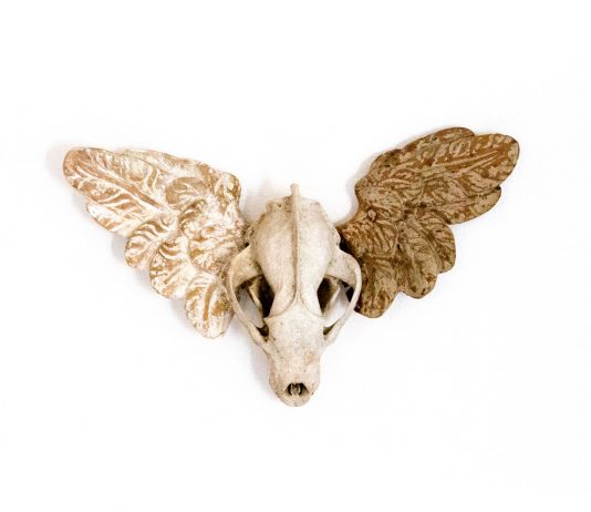 Franz Pichler – Non avere paura