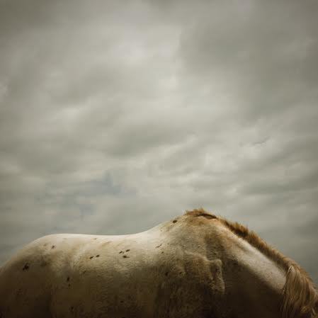 Giuditta Ambrosini – Rêverie