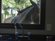 Sara Manente/RITA   – RITA#5