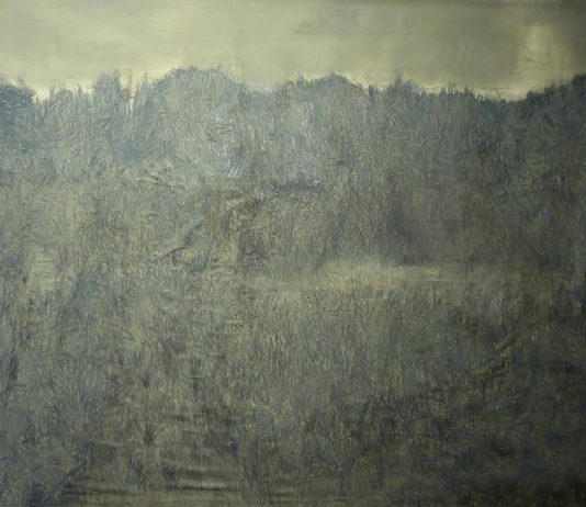 Valerio Manghi / Enrico Partengo – Progetto Diogene_Serie Inversa_Exh#01