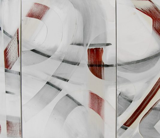 Artist Talk: Simona Madonna