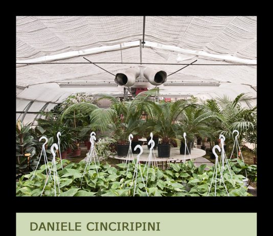 Daniele Cinciripini – Green Life