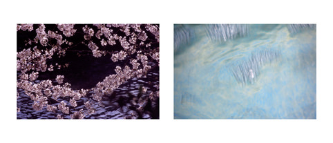 Paola Ghirotti – Coincidenze nell’anno del cavallo, italia no bi japan no bi